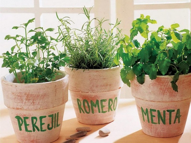 Cultivar Verduras En Casa Durante Todo El A O