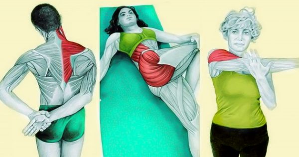¿Cómo puedes activar los músculos de tu cuerpo? Estos ejercicios de estiramiento te pueden ayudar…