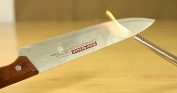 ¡Cuando las habilidades y la inteligencia entran en juego, la cocina se transforma!