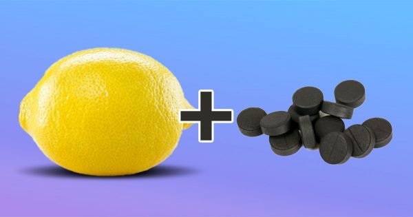 Absorbente de olores de la nevera