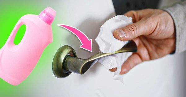 Mamá quería llevar 5 litros de suavizante de telas al campo, pues no lo usábamos, pero le encontré un uso genial