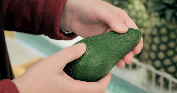 No temas coger aguacates duros, conozco un truco para que maduren rápido No temas coger aguacates duros, conozco un truco para que maduren rápido