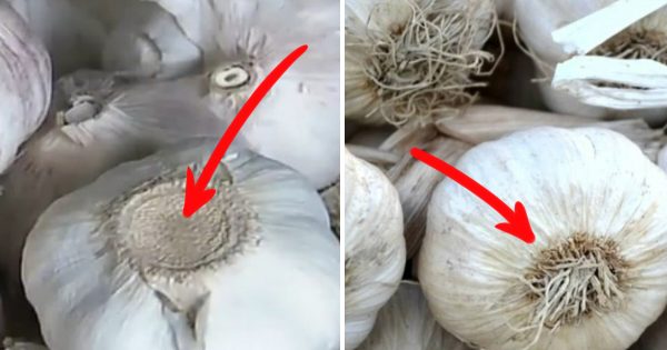 El ajo chino invadió los mercados… ¡Precaución, tu salud está en riesgo!