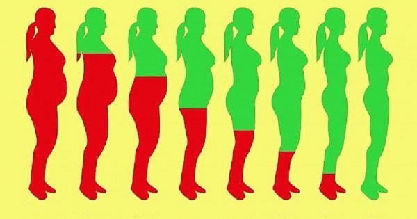 Con esta lista de productos dietéticos, ya no tengo que preocuparme por mi figura.