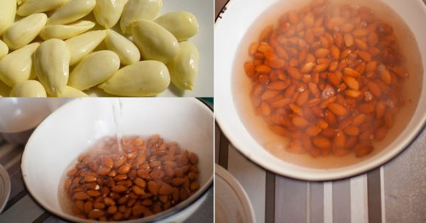 ¡Dale mantenimiento a tu cuerpo! Si lo desintoxicas, lo estarás protegiendo del temido cáncer…