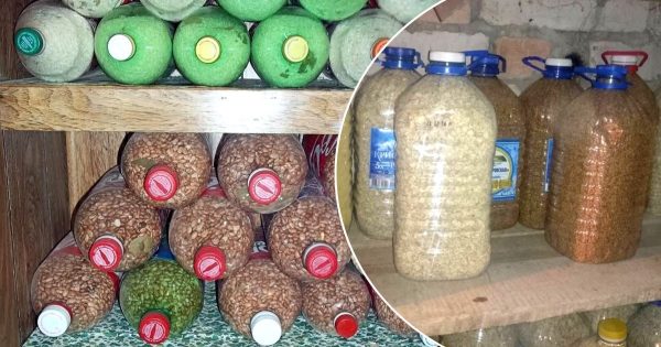 Almacenamiento de cereales en botellas. Almacenamiento de cereales en botellas.