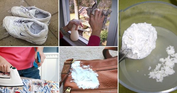 Aplicación de almidón Aplicación de almidón