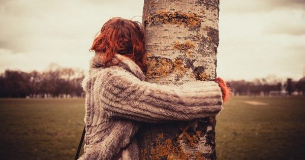 Árboles vampiros y árboles donantes