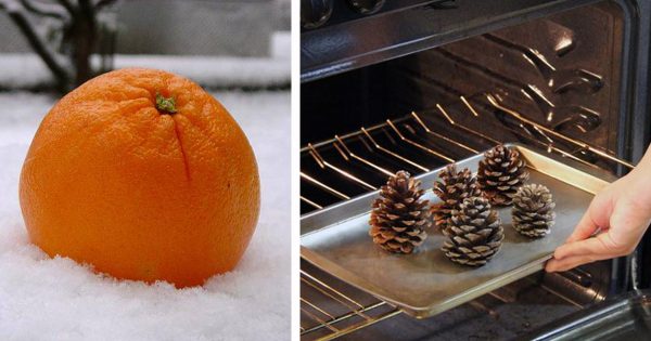 Fragancias navideñas: 8 maravillosas ideas para que el hogar siempre huela a naturaleza.