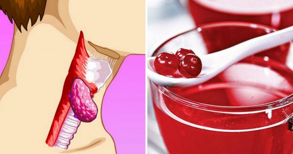 Cómo curar la tiroides. ¡Esta bebida ayuda a prevenir cáncer y muchas otras enfermedades!