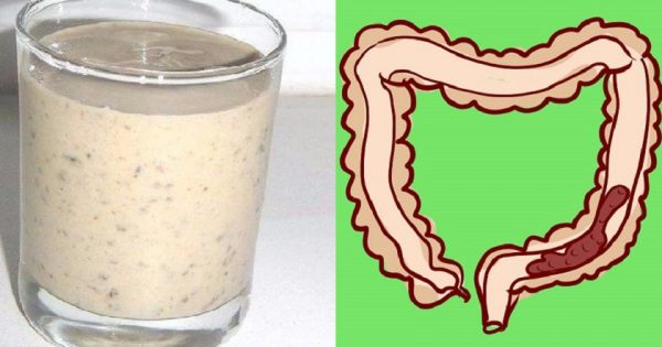 ¡Descubre esta maravillosa bebida purificadora!