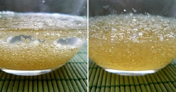 El componente restaurador de la dieta: Los beneficios de la gelatina.