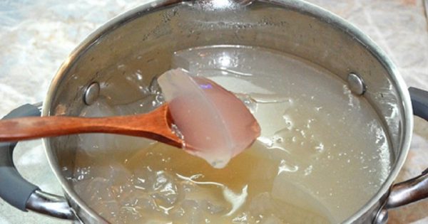 Los beneficios del agar-agar