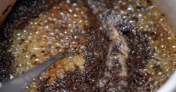 Por esto no debes consumir té envasado en pequeñas bolsas… ¡Tu salud corre peligro!