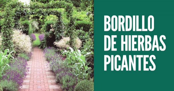 Lo que aprendí sobre los bordillos de hierbas al observar a mi vecino durante la temporada en el campo