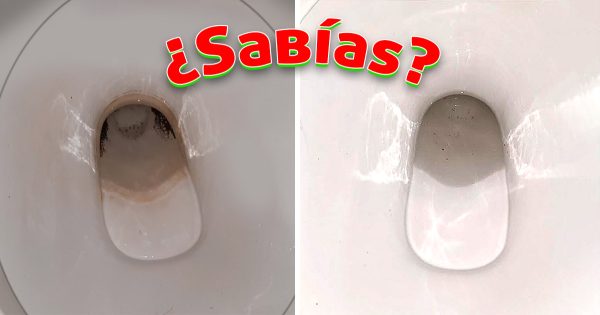 Alquilaron una casa, y el baño estaba en un estado deplorable: un antiguo método de limpieza ayudó a quitar la cal.