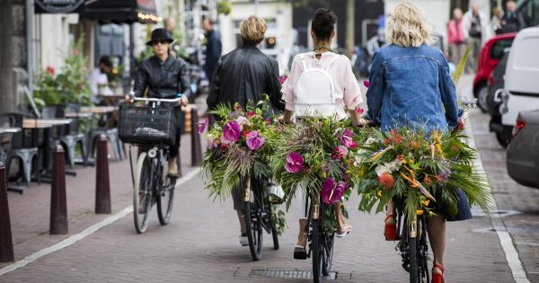 Toda mi vida soñé con visitar Ámsterdam, pero el viaje no trajo más que decepciones.