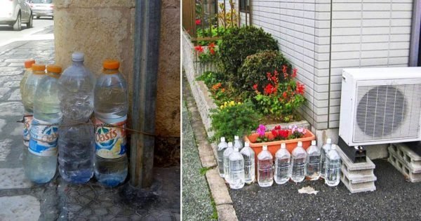 ¿Por qué los italianos dejan botellas de agua en las puertas delanteras?