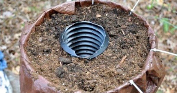 Belleza en un tubo de plástico: ¡En un par de semanas te sorprenderás con un milagro!