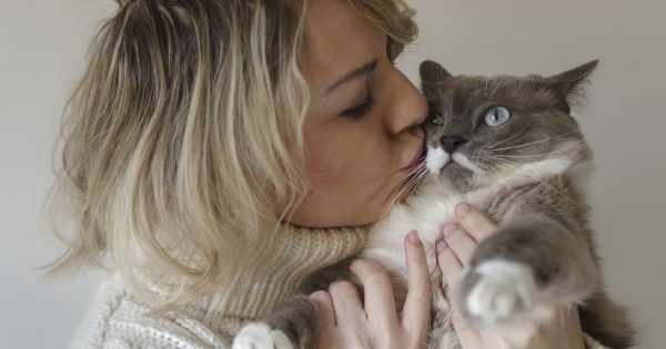 Cuál de los signos del zodiaco ama más a los gatos y cuál es totalmente indiferente a las criaturas peludas.