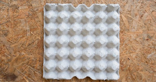 ¿Qué puedes hacer con las bandejas de cartón para huevos?