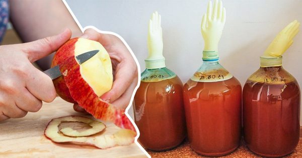 Le prohíbo a mi familia tirar las cáscaras de manzana; las recojo todas, y te mostraré lo que hago con ellas. Le prohíbo a mi familia tirar las cáscaras de manzana; las recojo todas, y te mostraré lo que hago con ellas.