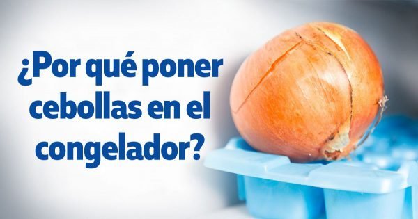 ¿Por qué las amas de casa inteligentes ponen cebollas en el congelador?
