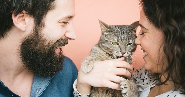 Los gatos con un color de pelo especial traen dinero a casa, el color tiene mucho que ver Los gatos con un color de pelo especial traen dinero a casa, el color tiene mucho que ver