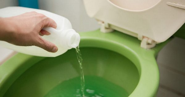¡Ésta es la razón por la que dejé de descargar el baño con tanta frecuencia! Y lo aconsejo a todos…