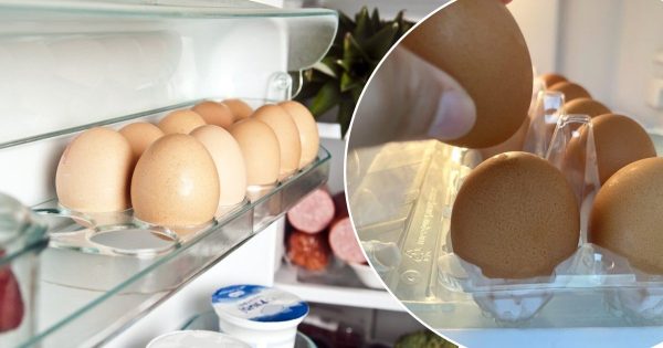 Cómo almacenar huevos sin refrigerador: la experiencia de los europeos Cómo almacenar huevos sin refrigerador: la experiencia de los europeos