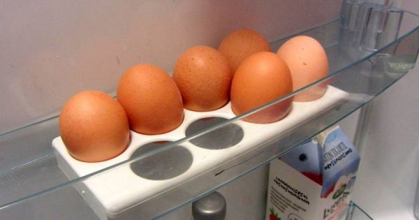 Cómo almacenar huevos Cómo almacenar huevos