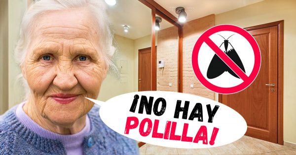 El consejo de la abuela para evitar que la ropa huela a moho y no alimente a las polillas