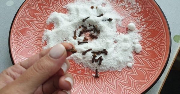 Cómo atraer dinero a la casa