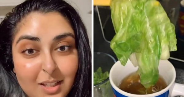 Cómo conciliar el sueño rápidamente sin medicamentos utilizando una decocción de lechuga