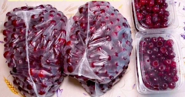 Cómo congelar una cereza: 2 formas