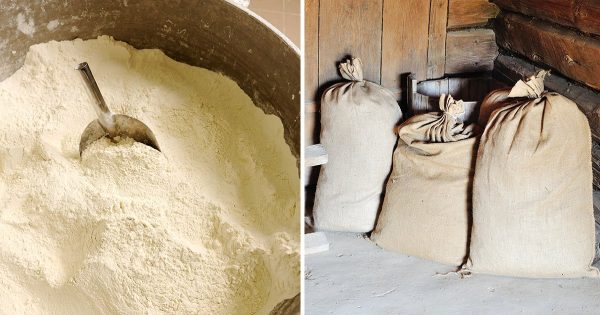 Para evitar que crecieran gorgojos y polillas en la harina, mi abuela la guardaba de una manera especial.