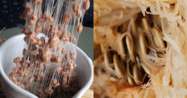 Cómo conservar la memoria