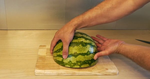 Cómo cortar una sandía Cómo cortar una sandía