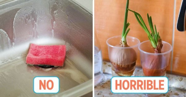 Lo que hay que tirar de la cocina para que el marido no abandone la casa.