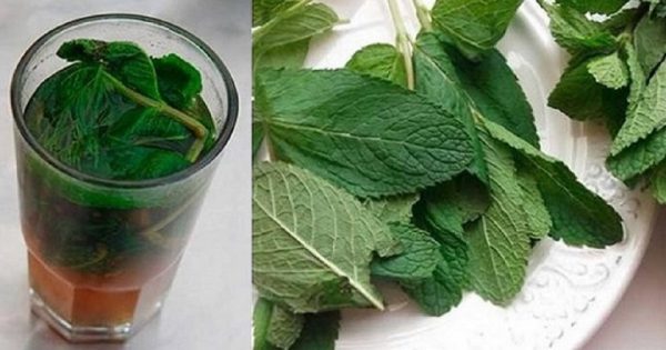 Cuida tu cuerpo, de una manera deliciosa: ¡Limpia tu hígado de forma natural!