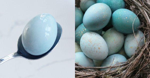 ¡Te sorprenderás cuan hermosos quedan los huevos, si los pintas con ESTO!