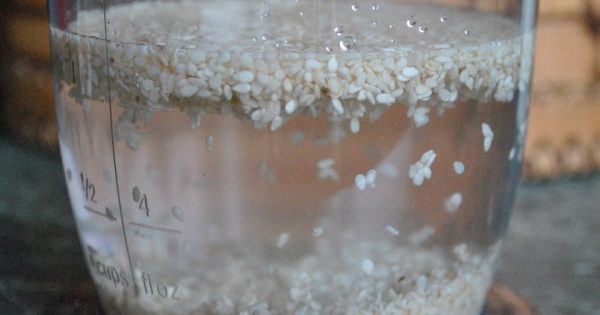 La receta de hoy: Leche de sésamo. Una manera fácil de renunciar al dulce.