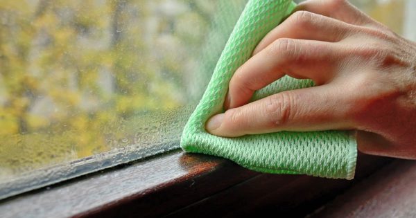 Una forma confiable de ayudar a eliminar la condensación en las ventanas de una vez por todas Una forma confiable de ayudar a eliminar la condensación en las ventanas de una vez por todas