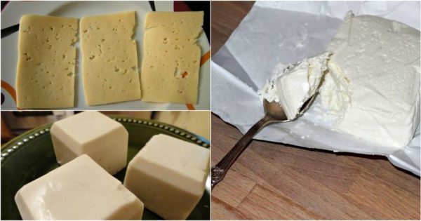 Cómo determinar el aceite de palma en los productos.