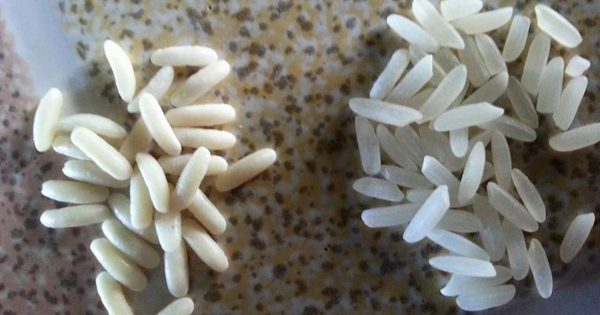 ¿Un alimento sintético? 3 maneras ingeniosas para determinar la calidad del arroz.