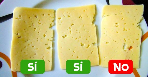 Cómo elegir un buen queso de calidad Cómo elegir un buen queso de calidad