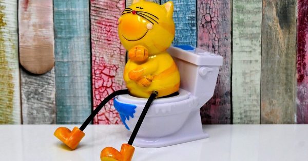 Mi esposa me convenció de comprar un inodoro nuevo, resultó que no sabía nada sobre cómo elegirlo correctamente