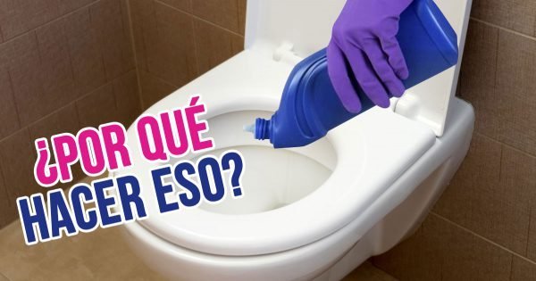 ¿Por qué deberías verter líquido para lavar platos en el inodoro?