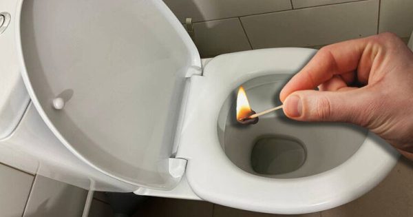 Cómo eliminar el mal olor de la taza del váter Cómo eliminar el mal olor de la taza del váter