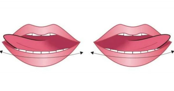 Cómo eliminar la papada en casa